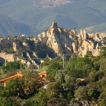 Les Mimosas Des Orgues De La Sybille Ille-sur-Têt